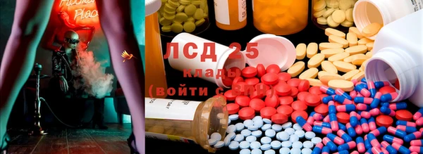 стафф Козловка