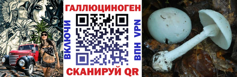 Псилоцибиновые грибы прущие грибы Краснокамск