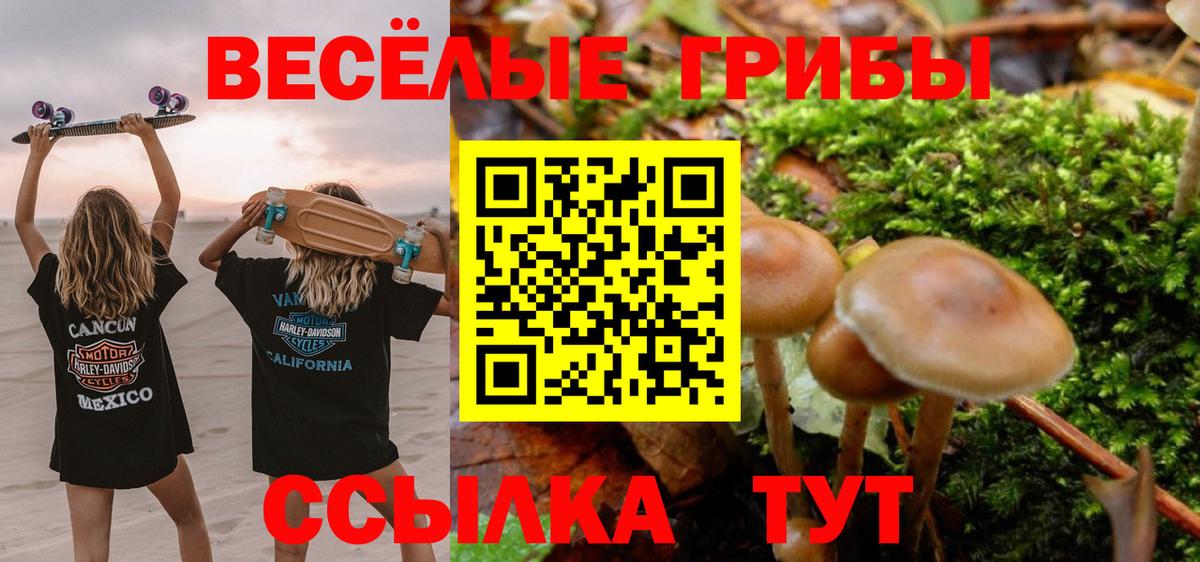 Галлюциногенные грибы MAGIC MUSHROOMS Краснокамск