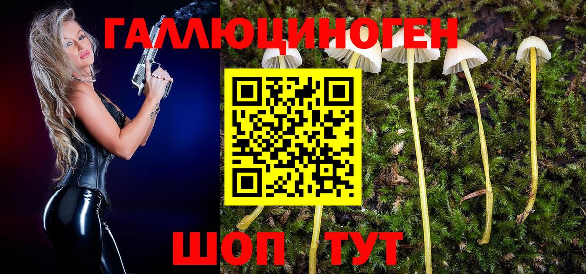 Краснокамск  наркота  Галлюциногенные грибы Magic Shrooms  Вход с VPN  Псилоцибиновые грибы ЛСД 